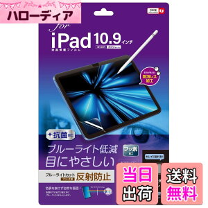 �y���������ziPad 11�C���` ��11���� 2025 / iPad 10.9�C���` ��10���� 2022 �p �t���ی�t�B���� ���˖h�~ �u���[���C�g�J�b�g �C�A���X���H Z0496