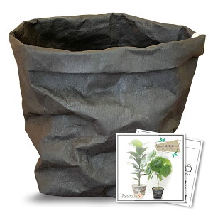 yzlapset Jo[ ϗtA  k  VRf U[ Ntg 4 ubN STCY