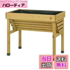 【送料無料】タカショー 野菜 プランター ホームベジトラグ ウォールハガー コンパクト オークル 木製 植木鉢 花 家庭菜園 天然木 ポリプロピレン VGT-WH04F