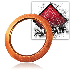 yzALWIPiAEBbvjyg^EXozΉ GWX^[g X^[^[O A~Jo[ (IW)