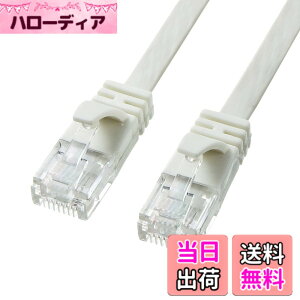 �y���������z�T�����T�v���C CAT6A �t���b�gLAN�P�[�u�� ���f���p (5m) 10Gbps/500MHz RJ45 �c���܂�h�~ �z���C�g KB-FL6A-05W