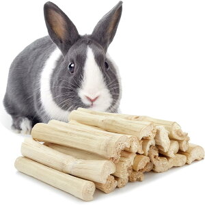 yzTerraShine 񂲎} 300g  nX^[ ނ Â| nX^[  nX^[  _  fO[ ߋ  a bg P[W X (Ò|)