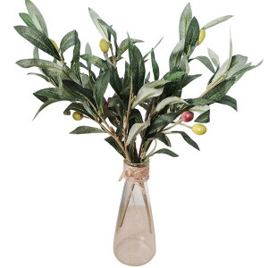 yzLumierechat I[u  I[u̖ DIY t[AWg tFCNO[ 3{ Zbg a-b2179