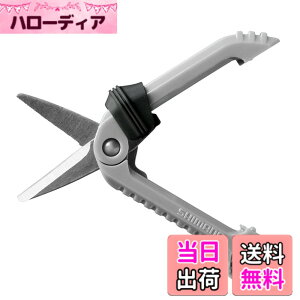 �y���������z�V�}�m(SHIMANO) �X���C�h�n�T�~ CT-923R ���C�g�O���[