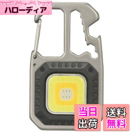 【送料無料】オーム電機 LED懐中電灯 フラッシュライト ハンディライト コンパクトツールライト 四角形 810ルーメン 栓抜き/ドライバー4種/レンチ/カラビナつき アウトドア キャンプ LH-CS81A5 08-1517 OHM