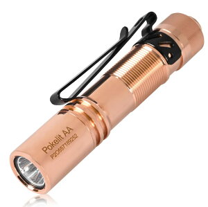 yzACEBEAM Pokelit AA d ^ y  550[PO 3iK F Ra90 IP68h ő9̎s 肵ptH[}X イłƂ ledCg tbV