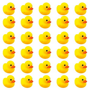 yzAq ^ F VR  o q S q l  V 蕨 30ZbgAq C  Aq C  Ђ Cɕ