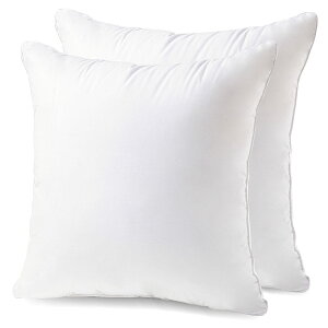 �y���������z�N�b�V���� ���g 45×45cm 2�Z�b�g ��100%�����n �Ȃ��ґ�ɋl�ߍ��� ���ȑ���15�� �ׂ�Ȃ� �k�[�h�N�b�V���� �􂦂� �R�ۖh�L �h�J�r �_�炩�� Phantoscope