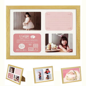 �y���������z�n�N�o HAKUBA �t�H�g�t���[�� ���G�[�W�� �V�����e A4 ���ʃ^�C�v �ؐ� �i�`������ FWLGC-NTA4T