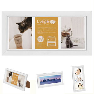 �y���������z�n�N�o HAKUBA �t�H�g�t���[�� ���G�[�W�� �V�����e L�T�C�Y 3�� �ؐ� �z���C�g FWLGC-WTL3