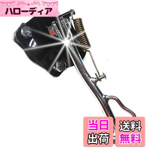 �y���������z�yPiece of peace product�z �T�C�h�X�^���h �z���_ DIO ZX ���C�u�f�B�I AF34 AF35 �X�}�[�g�f�B�I �N���A �X�N�[�s�[ �z���_ �f�B�I Z4 AF55 AF56 AF57 AF63 �f�B�I AF62 AF68 �g�D�f�C AF61 AF67 (���C