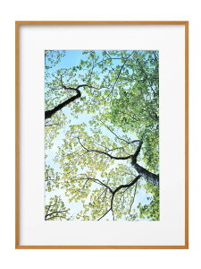 yznNo HAKUBA y z ZEROt[ G-01 A3mr i` FZG01-A3NNT