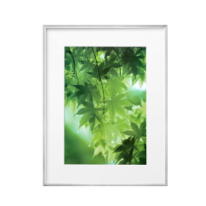 yznNo HAKUBA y z ZEROt[ G-01 A3 Vo[ FZG01-A3SV