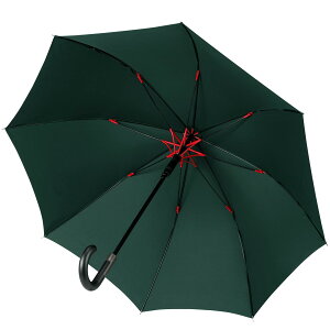 yzyO㖢̝\˔jzVialifer P P  P Y 260TxOXt@Co[ TeflonH y ϕ v 傫 JXebLP amP fB[X Jp