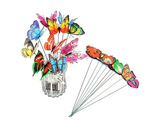 yzyBEAUTY PLAYERz͑  u K[f I[ig 10Zbg 6cm Vv 3D  C~e[V K[fjO G o^tC A  ̑ Aؔ̑ 둕