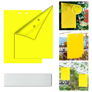 �y���������z�yBEAUTY PLAYER�z����� �S���V�[�g �ߒ��V�[�g �h���V�[�g �Q���ߊl�S���� �A�ؔ� �� �����g���b�v ���悯�v���[�g �X�e�B�b�L�[ �S���g���b�v �t���C���O �����X�e�B�b�L�[ �L