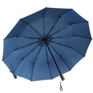 yz܂肽ݎP ZruieryTCYE12{z ܂ݎP y Y fB[X 傫 12{ xOXt@Co[ ϕ 蓮J 肽ݎP 䕗Ή JΉ 