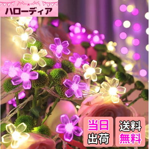 �y���������zSITEDAN �� �X�g�����O���C�g �\�[���[ �C���~�l�[�V�������C�g �� 7M50�d�� 2�g���v100�� �s���N���E�H�[���z���C�g LED ���O �t�����[ �K�[�f�����C�g 8���[�h �h�� �N���X�}�X���C