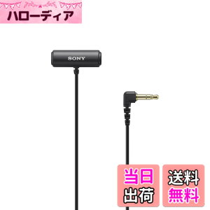 �y���������zSONY(�\�j�[) �J�����p�}�C�N ���x���A�}�C�N���z�� ECM-LV1