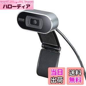 �y���������z�T�����T�v���C WEB�J���� �I�[�g�t�H�[�J�X�@�\���� �t��HD �}�C�N���� Skype Zoom Teams�Ή� CMS-V45S