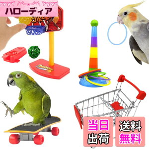 �y���������z[LUKASTR] �C���R �������� �I�E�� �y�b�g�p�i �o�[�h�g�C ���̂������� �m��ߋ� �Z�L�Z�C�C���R �I�J���C���R 4�_�Z�b�g