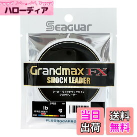 【送料無料】シーガー(Seaguar) シーガー グランドマックスFX ショックリーダー 20m 10号