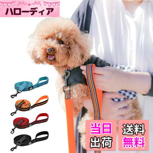 �y���������zPetGround �� ���[�h ���� �\�t�g���[�h �_�炩�� ������� �y�� ���ˑf�� �y�b�g�p�i ���b�V�� ���^�� ���^�� ��^�� (�u���[ M)