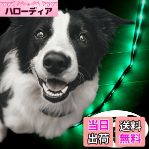 �y���������zTERUI Lights Osaka �� ���郊�[�h LED �[�d�� USB-C ��� �U�� �����[�h ���C�g 1.2m ���� ���[�h ���� �S������ �h�� 16���Ԏg�p ���̓o�b�e���[ �����P�[�u�� ���^�� ���^�� ��^�� ���S