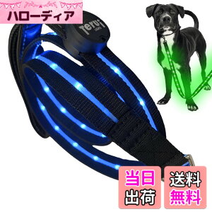 �y���������zTERUI Lights Osaka �� ���郊�[�h LED �[�d�� USB-C ��� �U�� �����[�h ���C�g 1.2m ���� ���[�h ���� �S������ �h�� 16���Ԏg�p ���̓o�b�e���[ �����P�[�u�� ���^�� ���^�� ��^�� ���S