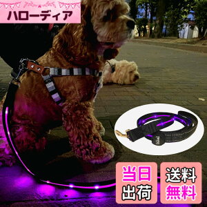�y���������zTERUI Lights Osaka �� ���郊�[�h LED �[�d�� USB-C ��� �U�� �����[�h ���C�g 1.2m ���� ���[�h ���� �S������ �h�� 16���Ԏg�p ���̓o�b�e���[ �����P�[�u�� ���^�� ���^�� ��^�� ���S