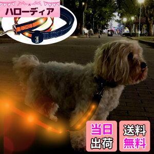 �y���������zTERUI Lights Osaka �� ���郊�[�h LED �[�d�� USB-C ��� �U�� �����[�h ���C�g 1.2m ���� ���[�h ���� �S������ �h�� 16���Ԏg�p ���̓o�b�e���[ �����P�[�u�� ���^�� ���^�� ��^�� ���S
