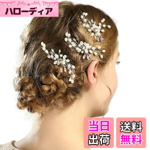 �y���������zAVILMORE �p�[�� �w�A�s�� �w�A�A�N�Z�T���[ �u���C�_�� ������ �E�F�f�B���O �p�[�e�B�[�ԉ� �w�b�h�h���X ������ (�V���o�[��) 3�{�Z�b�g
