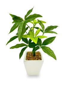 yz[ mamawreath ] ϗtA tFCN ~j |bg pL 1 sv O[    A[eBtBVt[ CeA rO lH  ͂Ȃ  K