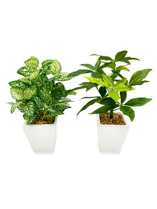 �y���������z[ mamawreath ] �ϗt�A�� �t�F�C�N �~�j �|�b�g �p�L�� �y�y���~�A 2�Z�b�g �����s�v �O���[�� ������ ��� ������� �A�[�e�B�t�B�V�����t�����[ �C���e���A ���r���O �l�H ��