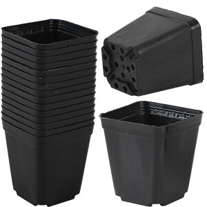 yzAllBright Aؔ O ϗtA A | ` rt y  A t[|bg 50Zbg