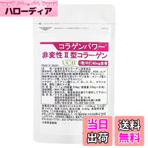 �y���������z��ϐ� 2�^ �R���[�Q�� UC-II �������v���C�X �R���Q���p���[ 30�� 30���� II�^�R���[�Q�� �T�v�� �R���p���[