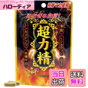 �y���������z���E�L���� SP ���͐� 20���� 40�J�v�Z�� �T�v�� �L�@�}�J ���� �V�g������ ���N�i �g���J�b�g�A��