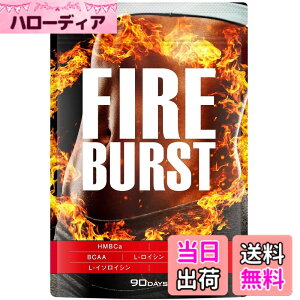 �y���������z�yFIRE BURST�z L-�J���j�`�� BCAA�z�� �T�v�� ���I�f�� 90����