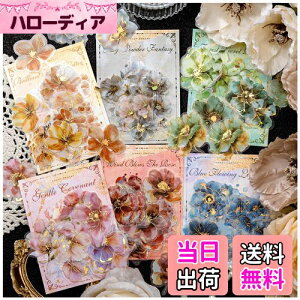 yzArpaper V[ R[W f t[NV[ lߍ킹 PET  킢 LL 蒠 X}z ̎q m[g  XNbvubN V[ XebJ[ fR R[