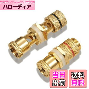 �y���������z�y�o�i�i�v���O���p ���X���X�zby �yWYVERN AUDIO�z �o�i�i�v���O������/���p�I ���v�≏���� ���X�̃��X WV-CHU-K ��1��1 (2��1�g)