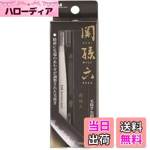 【送料無料】貝印 KAI 関孫六 毛抜き 先斜 収納ケース付き シルバー ピンセット用 ムダ毛 HC1806