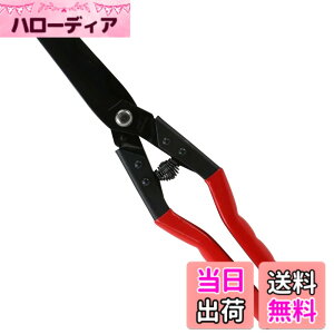 �y���������zSK11(�G�X�P�[11) �y�J�b�g������ �g�� WSR-270W ��R���؂�i�߂���