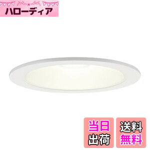 �y���������z�p�i�\�j�b�N(Panasonic) LED �_�E�����C�g �V�䖄���^ 60�` 125�a�d���F LSEB5125LE1