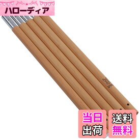【送料無料】DOD(ディーオーディー) ビッグタープポール 250cm アルミ 収納袋 太さ28mm XP5-507-WD