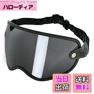 �y���������z�yRIDEZ(���C�Y)�z MOTO ZERO VISOR SMOKE �w�����b�g �o�C�U�[