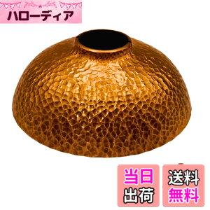 �y���������zFOREST HOME �����^���V�F�[�h 38explore �S�[���[�� �Ή� �^�J�� �b����Ɩڎd�グ �A�E�g�h�A�p�Ɩ��b223g �d�����E�^�J�����v�V�F�[�h (�A���e�B�[�N���F)