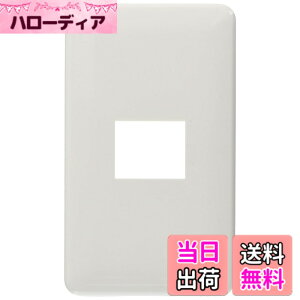�y���������z�p�i�\�j�b�N(Panasonic) ���_���v���[�g1�R�p �z���C�g WN6001SW