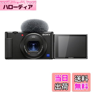�y���������zkinokoo �t���ی�t�B���� SONY �f�W�^���J���� ZV1/ZVE10/ZV1 Mark II/ZV1-F�p �d�x9H �����ߗ� �ώw�� �C�A���� �����K���X ����0.25mm 2���Z�b�g(ZV-1/ZV-E10/ZV-1M2/ZV1 F��p)