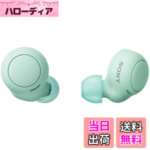 �y���������z�\�j�[(SONY) ���S���C�����X�C���z�� WF-C500 : /�y�ʏ��^5.4g/�����x�ʘb�i��/�ȒP�y�A�����O/IPX4�h�H���\/�A�C�X�O���[�� WF-C500 GZ