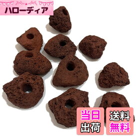 【送料無料】S-NET 溶岩 石 火山 岩 水槽 穴あき オブジェ 10個 セット アクアリウム 飾り レイアウト 5cm 100g 前後 床 水草 SN-299-AY 赤